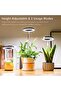 Natural Light LED Indoor Plant Grow Light Premium Full Spectrum Height Adjustable 4-Level Dimming 2/ - 6