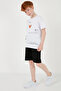 Cotton Printed Crew Neck Short Sleeve Shorts Suit Boys' SET6212010 - 7