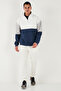 Color Block Regular Fit Half Zipper Stand Collar Sweat Men's Sweat 5905719 - 3