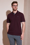 Cotton Regular Fit Stripe Detailed Buttoned Polo Collar 5 Pack t Shirt Men's t Shirt 5902118 - 3