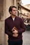 Cotton Regular Fit Half Zipper Stand Collar Sweat Men's Sweat 5905716