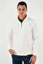 Cotton Regular Fit Half Zipper Stand Collar Sweat Men's Sweat 5905716 - 3
