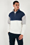 Color Block Regular Fit Half Zipper Stand Collar Sweat Men's Sweat 5905719 - 5