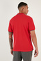 Cotton Regular Fit Stripe Detailed Buttoned Polo Collar 4-Pack t Shirt Men's t Shirt 5902118 - 6