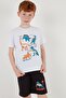 Cotton Printed Crew Neck Short Sleeve Shorts Suit Boys' SET6212021 - 2