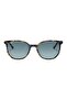 2197 1356/3m 50-19 Sunglasses - 2