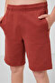 Brick Cotton Soft-Textured Standard Fit Basic Boys Shorts - 11293 - 4
