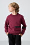Erguvan Cotton Thick Fleece Lined Soft Textured Standard Fit Printed Boys' Sweatshirt - 11238 - 4