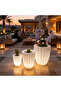Modern Planter Set 3 Pieces LED - 4