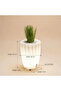Modern Planter Set 3 Pieces LED - 8