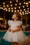 2-8 Years Old Rose Collar, Granular, Fluffy Tulle Baby Girl Evening Dress, Holiday Wedding Dress 3502