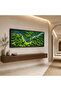 Beautiful Framed Canvas Wall Art 60x120 cm with Outer Frame, Elegant Home Decor - 2