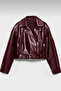 Women's Belted Oversize Cropped Leather Jacket |   New Season Biker Jacket
