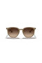 Sunglasses Rb4306 54 616613 - 4