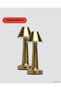 Zengezur Modern Metal Table Lamp 3 Light Colors Stepless (163719) Adjustable Brightness - 3