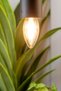 مصباح LED خيطي بقوة 4.5 واط موفر للطاقة - 6