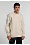 Regular Fit Round Neck Plain Men's Stone Sweatshirt