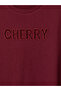 Lcw Curve Plum Plus Size Embroidered 100% Cotton Blouse - 4