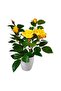 Tori Artificial Rose Tree with Pot, 35 cm, Assorted - 2