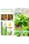 Fast Rooting Plant Nutrient Solution, Hydroponic Nutrients for Plants, Hydroponic Gardening and Hydr - 5