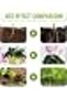 Fast Rooting Plant Nutrient Solution, Hydroponic Nutrients for Plants, Hydroponic Gardening and Hydr - 6