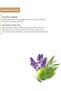 Dried Lavender Soap Bar | Body Exfoliator Natural Soap for Men And Women - 4