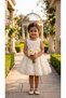 Girl's Dress Zero Sleeve Rose Detailed Bow Party Birthday Princess Dress - 3