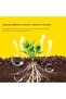 50ml Fast-Acting Root Stimulator for Plants, Plant-Based Liquid Rooting Hormone, Garden Cuttings Roo - 6