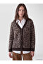 Brown V-Neck Leopard Patterned Women's Knitwear Cardigan