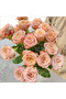 210 Rose Seeds - 4
