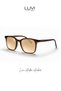 Luvi Arden Amber Uv400 Sunglasses – Choose Your Favorite Lens - 2