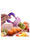 Fruit Weaning Feeding Pacifier - 2