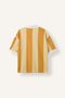 Boxy Fit Short Sleeve Polo Neck Striped Printed T-Shirt I4824Ax26Au - 2
