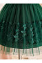 Girls Butterfly Applique Mesh Insert Dress - 5