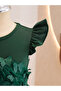 Girls Butterfly Applique Mesh Insert Dress - 4