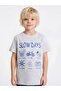 Boys Regular Fit Graphic T-Shirt