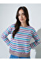 Multi-Color Striped Crew Neck Sweatshirt - 3