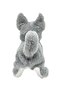 Milo Walking Dog - 4