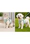 Breathable Fabric Air Mesh Cat Dog Collar X Small 32X36 cm Gray - Kp-Tmx-Xs-Gr