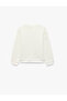 Licensed Long Sleeve Crew Neck Stitch Printed Embroidered Sweatshirt - 2
