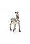 FIGURINA PUI DE ZEBRA - 2