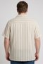 Men Regular Fit Stripe Short Sleeve Casual Shirt, Multicolor - 4