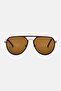 Men CR 80021 Aviator Sunglasses, Brown