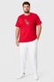 Men Sportswear Fit Short Sleeve Outdoor T-Shirt, Red - 2