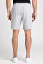 Men Sportswear Fit Outdoor Shorts, Light Grey - 4