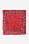 Shawl Patterned Square Cotton Bandana Scarf - 2