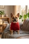 Handmade High-Neck Basic Dog Clothes (for Small and Medium Breeds)
