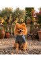 Handmade High-Neck Basic Dog Clothes (for Small and Medium Breeds)