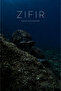 ZIFIR DALIŞ MASKESİ - 4