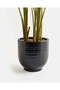 Green Artificial Bird Of Paradise In Ceramic Pot 92cm - 5